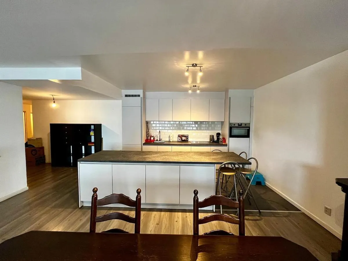 Big Apartment With Parking In Antwerp